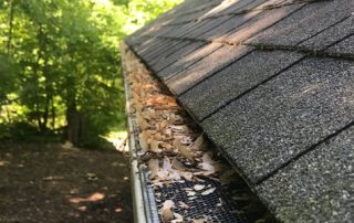 Gutter Cleaning